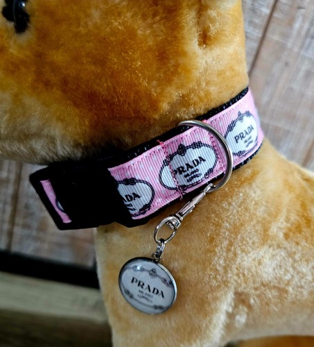Elegante collare per cani