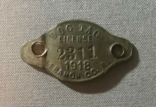1918 lebanon county dog - 1918, pa