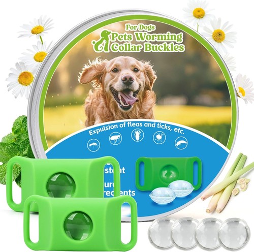 Collare per cani - collare,
