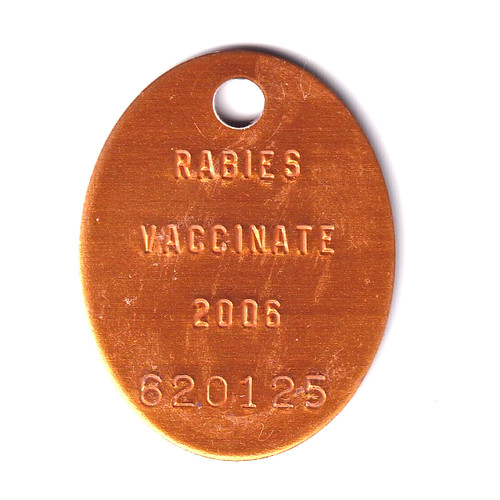 Etichetta cane vaccinato - etichetta,